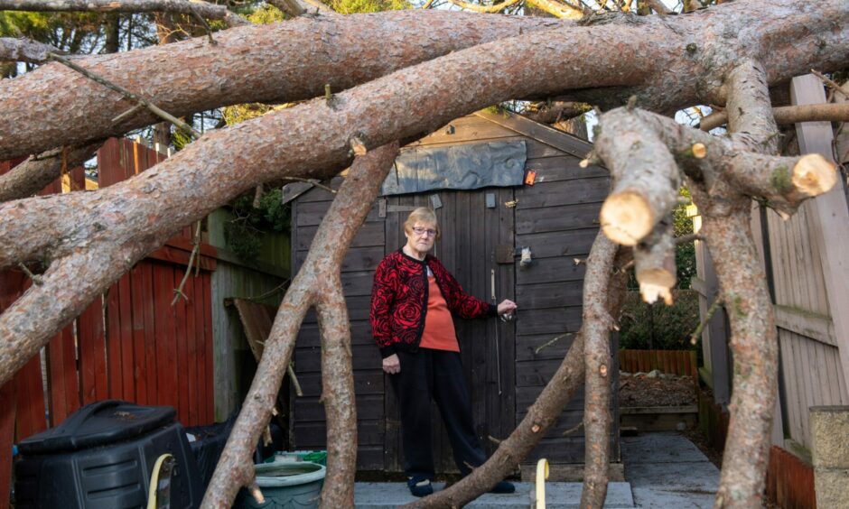 Joyce Watt has been left with this huge tree in her garden after Storm Arwen. She is worried Aberdeen City Council is never coming to clear it up. Picture by Kath Flannery/DCT Media.