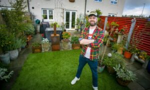 Walk on the wild side: Clarke Joss has transformed his garden to attract nature.