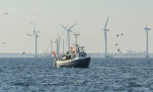 Fishing and offshore wind together.