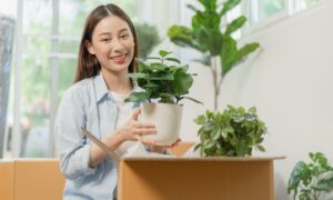 Mail order plants have become popular in recent times.
