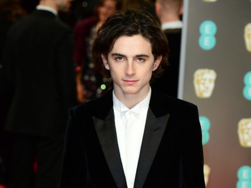 Timothee Chalamet stars in Beautiful Boy (Ian West/PA)