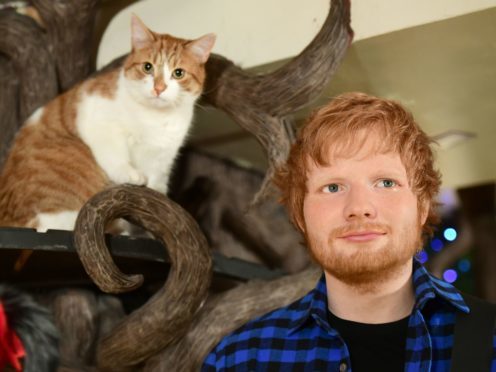 The new Madame Tussauds figure of Ed Sheeran is unveiled at Lady Dinah’s Cat Emporium in London (Ian West/PA)