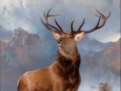 Edwin Landseer’s The Monarch Of The Glen (National Galleries of Scotland)