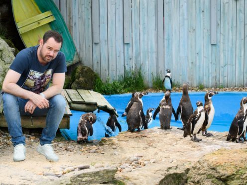 Danny Dyer is to narrate a penguin Love Island spoof (Chessington World of Adventures Resort/PA)