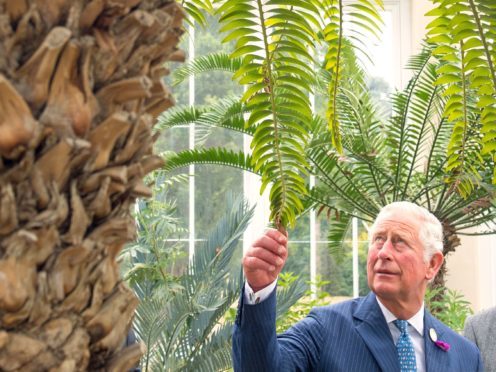 Charles airs his concern about the impact of climate change on Gardeners’ World (Dominic Lipinski/PA)