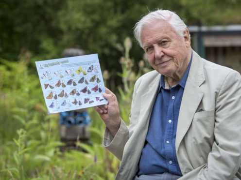 Sir David Attenborough launching a Big Butterfly Count (Butterfly Conservation/PA)