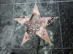 A man has been charged with vandalising Donald Trump’s star on the Hollywood Walk Of Fame (AP Photo/Reed Saxon)