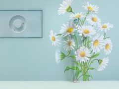 British model Daisy Lowe has been camouflaged into a wall of daisies for a photo shoot (Samsung)