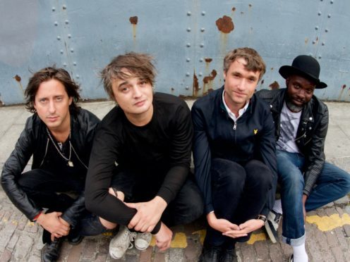 The Libertines launch their own festival with Chas and Dave on line-up (Roger Sargent/Handout)