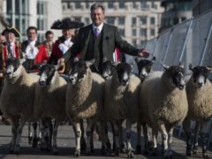 Alan Titchmarsh joins Freemen and Women of the City of London as they take up their historic entitlement to drive their sheep over London Bridge (Victoria Jones/PA)