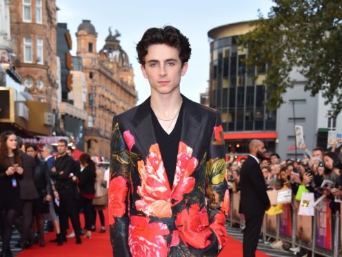 Timothee Chalamet at the premiere of Beautiful Boy (Matt Crossick/PA)