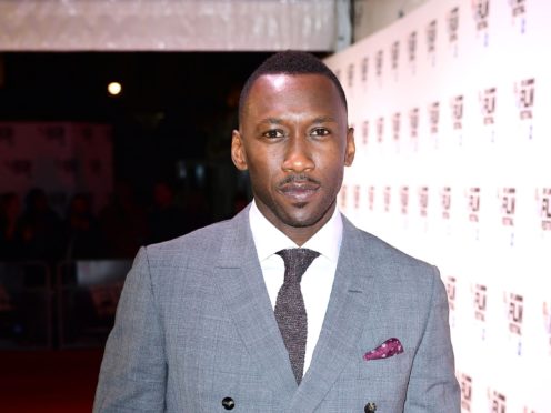 Mahershala Ali said all roles have an ‘extraordinarily challenging’ aspect to them as he discussed playing a Jamaican-American pianist touring the Jim Crow-era Deep South (Ian West/PA)