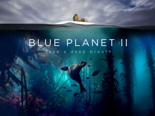 Blue Planet II caught the attention of Netflix, BBC chief Tim Davies told a conference (Lisa Labinjoh/Joe Platko/BBC/PA)