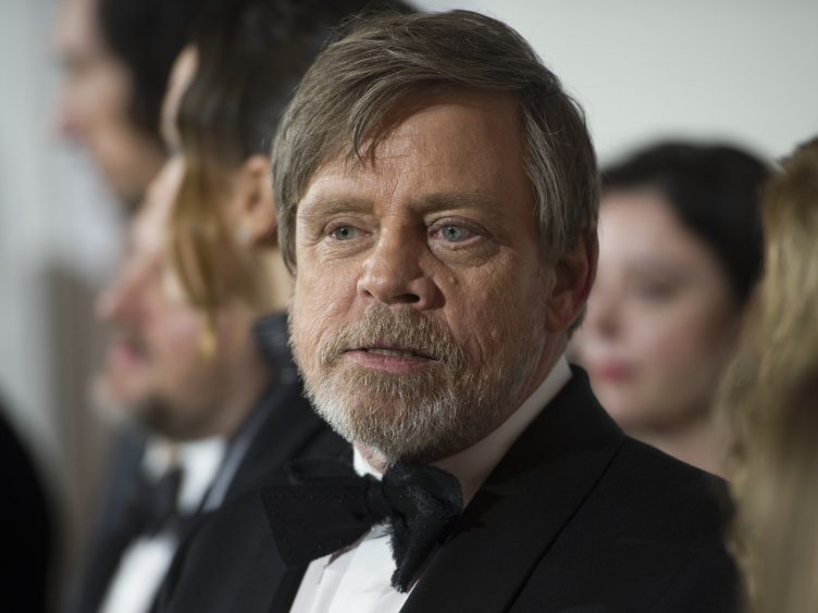 Mark Hamill (Mark Hamill/PA)