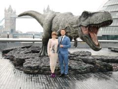 Bryce Dallas Howard and Chris Pratt star in Jurassic World: Fallen Kingdom (Ian West/PA)