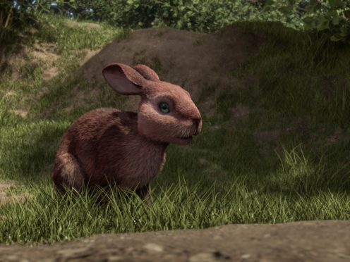 The new Watership Down has an all-star cast of voice actors (BBC)