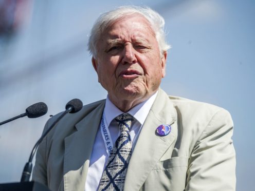 David Attenborough (Peter Byrne/PA)