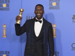 Mahershala Ali as responded to criticism over his role in Green Book (Jordan Strauss/Invision/AP)