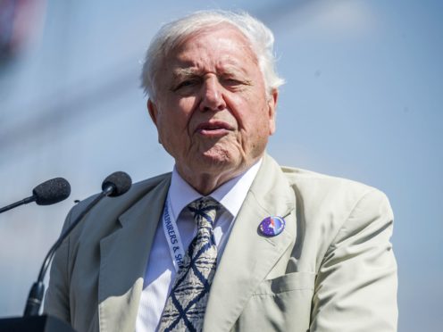 Sir David Attenborough (Peter Byrne/PA)