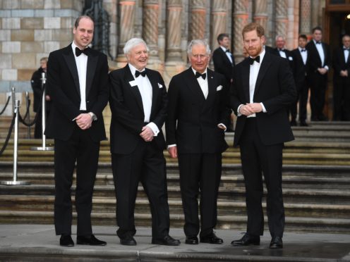 The Duke of Cambridge, Sir David Attenborough, the Prince of Wales and the Duke of Sussex at the global premiere of Netflix’s Our Planet (Kirsty O’Connor/PA)