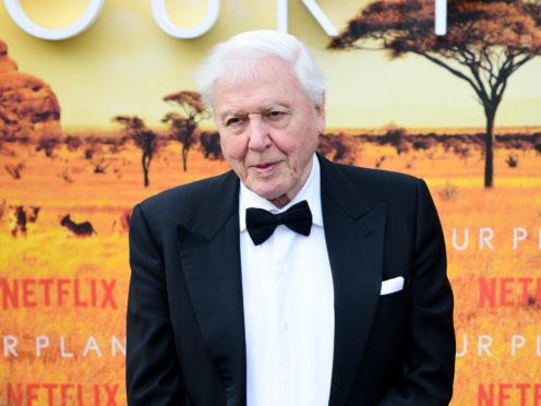 Sir David Attenborough at the premiere of Netflix’s Our Planet (Ian West/PA)