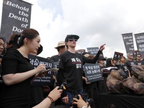 Kim Basinger speaks during a rally to oppose eating dog meat (Ahn Young-joon/AP)