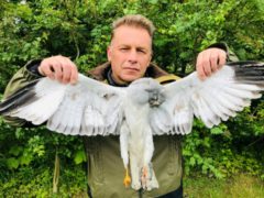 Chris Packham with the dead hen harrier (Ruth Tingay)