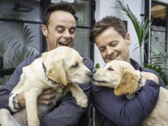 Ant and Dec with the guide dog puppies named after them (Christopher Ison/Guide Dogs/PA)