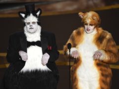 James Corden and Rebel Wilson as their characters from Cats (Chris Pizzello/AP)