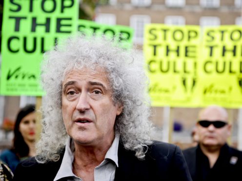 Queen guitarist Brian May has welcomed the Government’s ‘brave new policy decision’ to phase out intensive badger culling (Ben Birchall/PA)