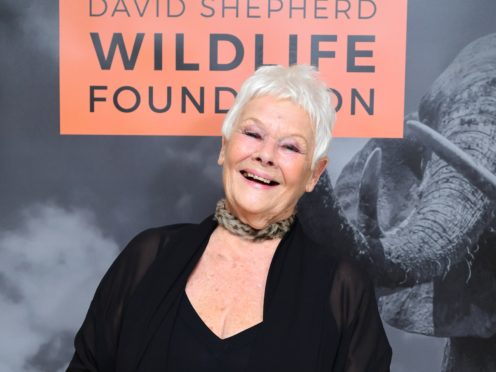 Dame Judi Dench (Ian West/PA)