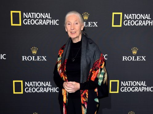 Conservationist Dr Jane Goodall has said warnings of a pandemic were ignored (Ian West/PA Wire)