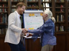The Duke of Sussex hugs Dr Jane Goodall (Kirsty Wigglesworth/PA)