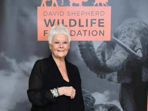 Dame Judi Dench says she has not read any reviews for the much-derided Cats (Ian West/PA)