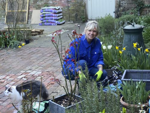 Zoe Ball in her garden (BBC Gardeners’ World magazine)
