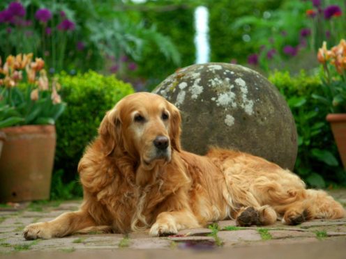 Nigel often stole the show on BBC Two’s Gardeners’ World (BBC)