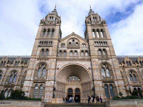 The Natural History Museum (John Walton/PA)