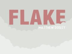 Flake by Matthew Dooley (Matthew Dooley/Bollinger/PA)