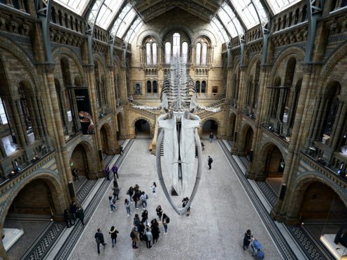 The National History Museum has reopened (John Walton/PA)