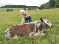 Mary Berry at English Farm (BBC/PA)