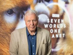 Sir David Attenborough has won an Emmy Award for his work narrating the BBC documentary Seven Worlds, One Planet (David Parry/PA)