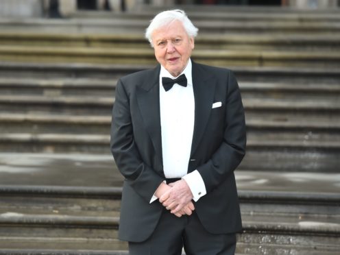 Sir David Attenborough is among the famous faces to have been vaccinated (Kirsty O’Connor/PA)
