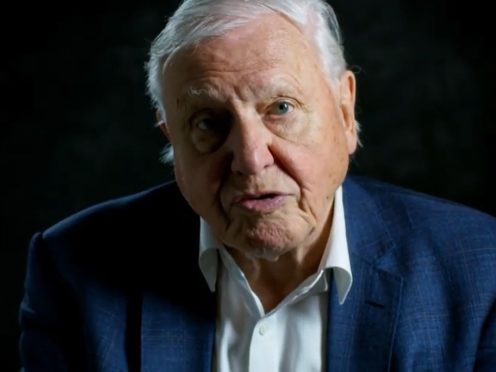 Sir David Attenborough (WWF/PA)