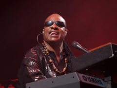 Stevie Wonder led the celebrities marking Martin Luther King Jr Day as he decried the US’s ‘lack of progress’ on equality (Yui Mok/PA)