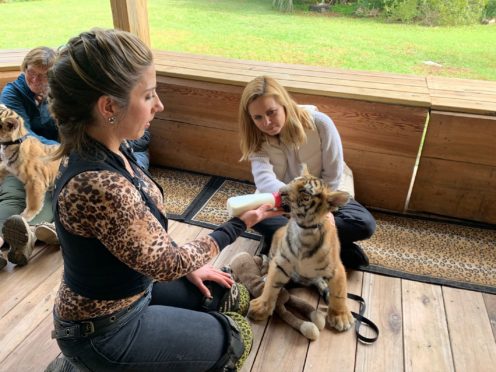 It is easier to buy a tiger than adopt a dog in some parts of the US, investigative journalist Mariana van Zeller has said (National Geographic/Muck Media/PA)