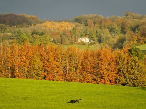 Stroud has topped the Sunday Times list of 78 locations across the country (Ben Birchall/PA)