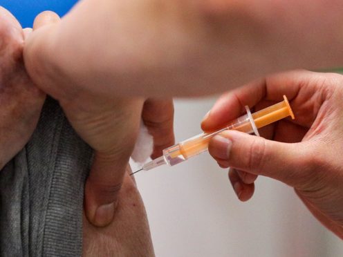 An expert said vaccine passports would need ‘enormous scrutiny’ (PA)