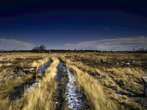 The battlefield viewed from Scottish lines (National Trust for Scotland/PA)