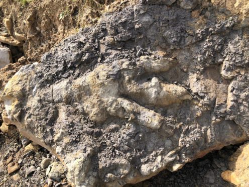 The giant dinosaur footprint found on a Yorkshire beach (Marie Woods/PA)
