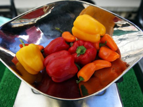 A Mediterranean style diet may protect against memory loss and Alzheimer’s, a study has suggested (Steve Parsons/PA)